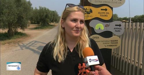 Thraki net: Thousands of olive trees burnt in Makri and Dikella - Ancient olive grove saved (video)