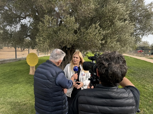Ert news – We answer to all the questions about the olive oil adulteration (video)