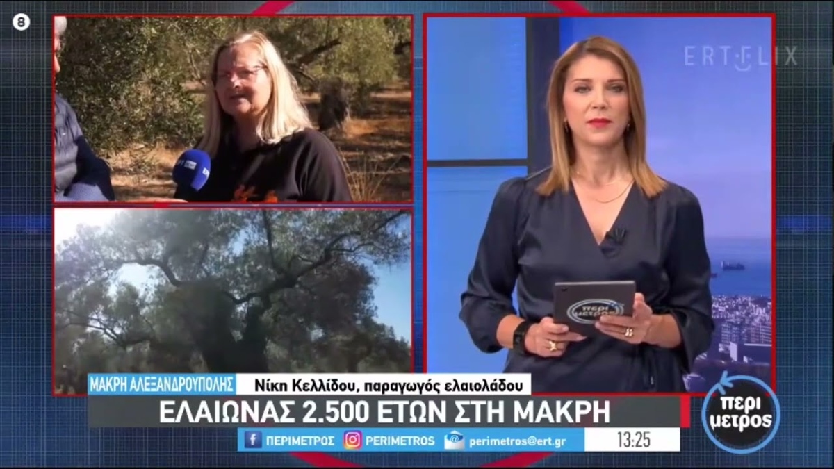 Live Ert News from the old olive grove in Makri with Niki Kelidou (video)