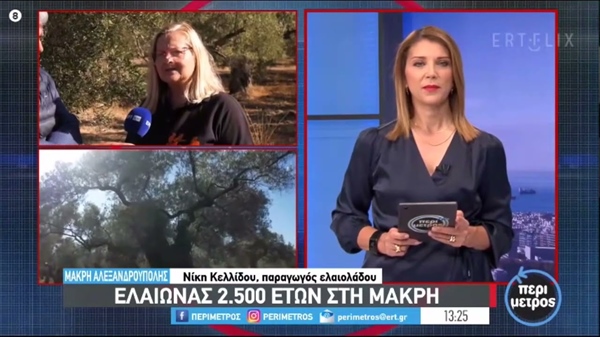 Live Ert News from the old olive grove in Makri with Niki Kelidou (video)