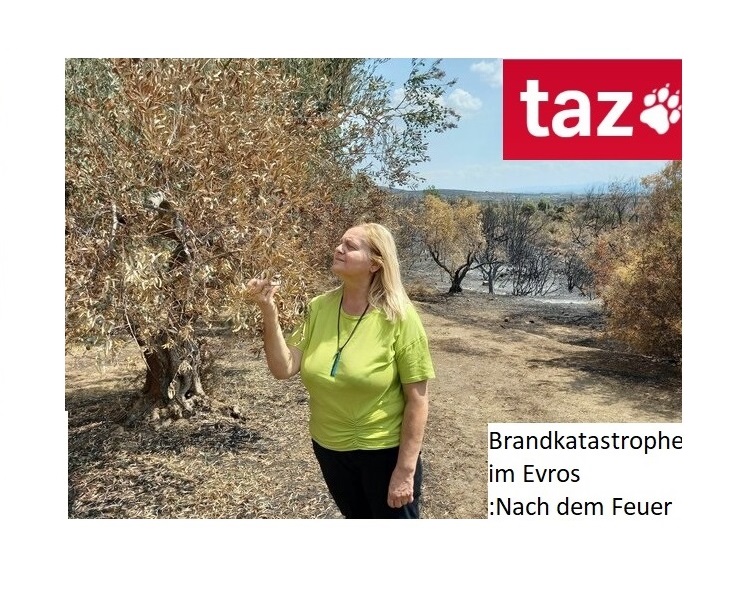 Taz.de: Fire in Evros: After the fire