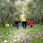 Sunday walks in the olive groves
