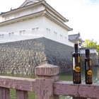 The myth of the Cyclops comes alive in Japan.