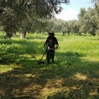 We do not use chemicals to fight off unwanted weeds and grasses (video)