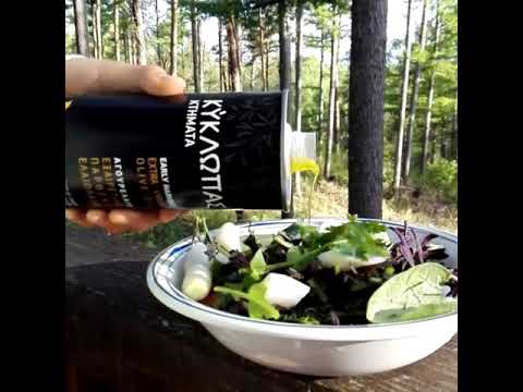 Exploring nature with Kyklopas (video)