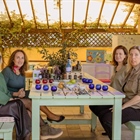 The Olive Oil Testing was carried out in last year’s extra virgin olive oils as they wanted to check their progress during this year.