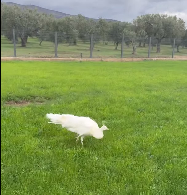 We’re working so much, but at least we get away through nice pictures. (video)