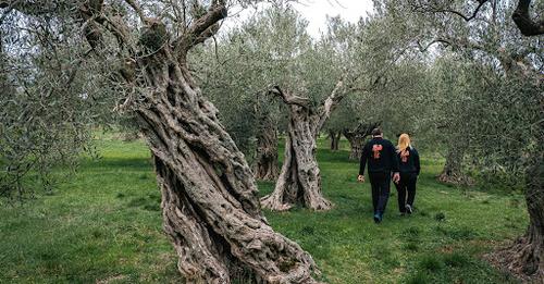 Αγαπάμε πολύ να δημοσιεύετε την εμπειρία σας στον Κύκλωπα , τις φωτογραφίες που βγάλατε εδώ . We love your feedback
