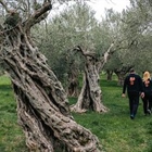 Αγαπάμε πολύ να δημοσιεύετε την εμπειρία σας στον Κύκλωπα , τις φωτογραφίες που βγάλατε εδώ . We love your feedback