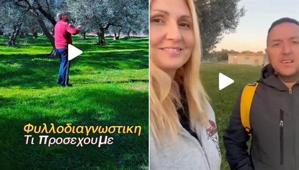 Leaf collection for the estimation of the nutrition status and the protection of the plants in Kyklopas Estates (video)