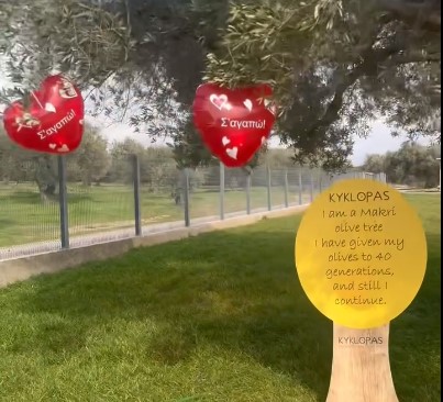 In Kyklopas Olive Mill we celebrate Love!(video)