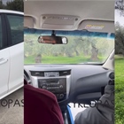 Annual inspection by DIO in the organic olive groves of Kyklopas.(video)