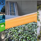 Experience olive oil production at Kyklopas (video)