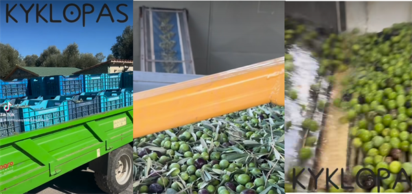 Experience olive oil production at Kyklopas (video)