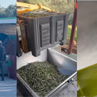 Because olive oil production is a celebration! Join the big family of Kyklopas..(video)