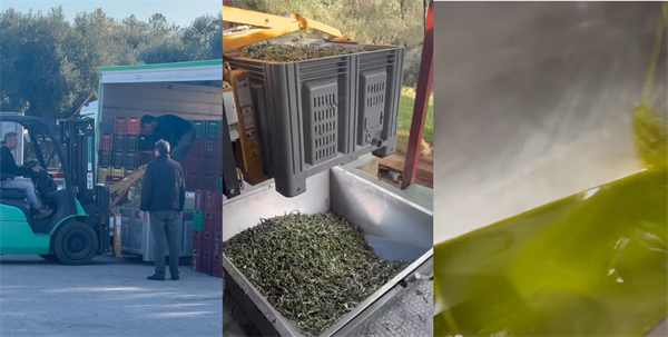 Because olive oil production is a celebration! Join the big family of Kyklopas..(video)