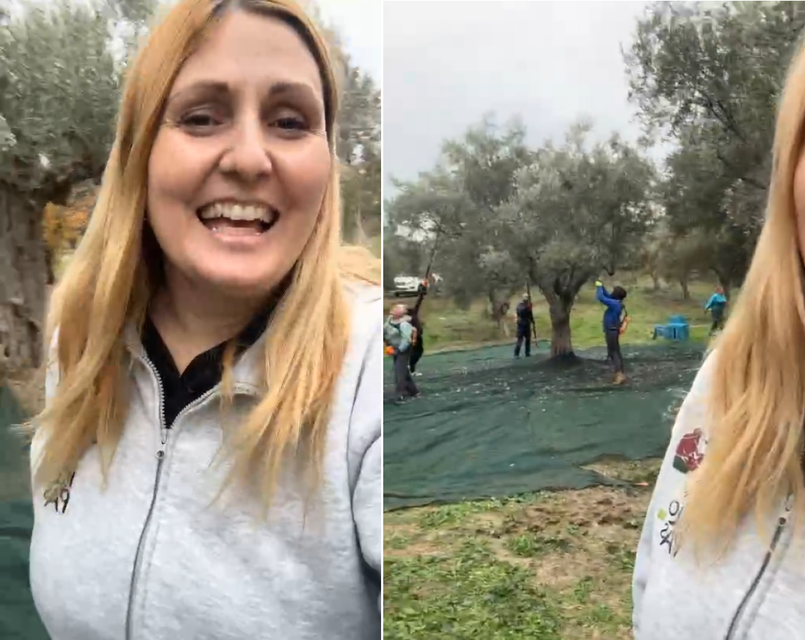 Live from the field as we harvest.(video)
