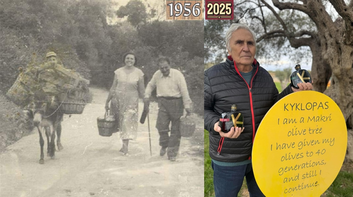 Aπό το γαϊδουράκι ως τα βραβεία και τα τραπέζια του κόσμου.
