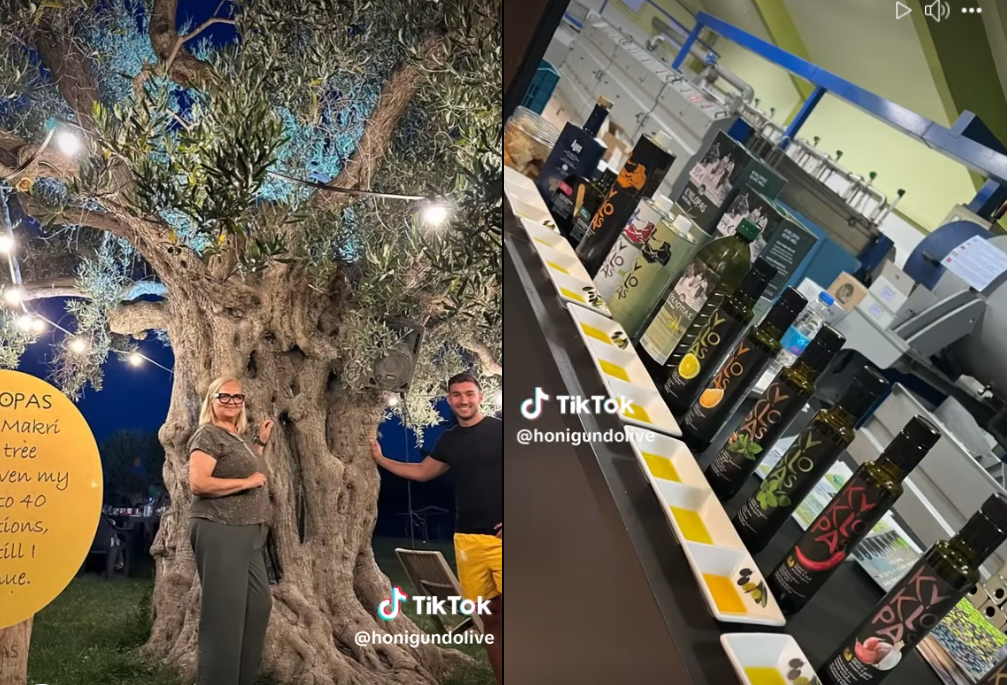 Visit us in person, it's always a special joy for us (video)