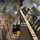 Visit us in person, it's always a special joy for us (video)