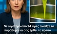 🛑 BREAKING OLIVE OIL NEWS! 🛑