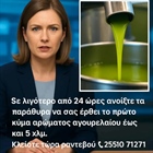 🛑 BREAKING OLIVE OIL NEWS! 🛑