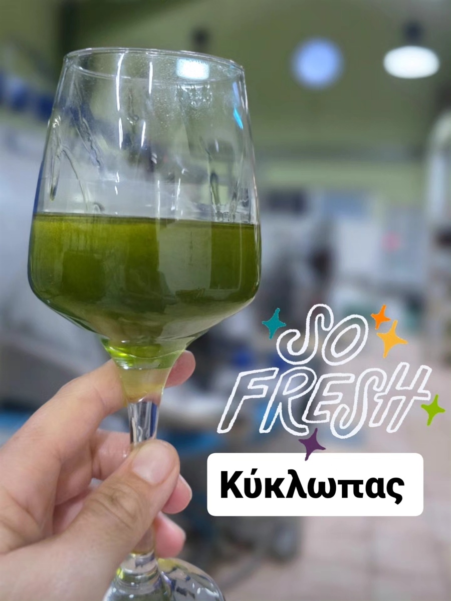 Fresh!!! We’ve started... Olive juice!