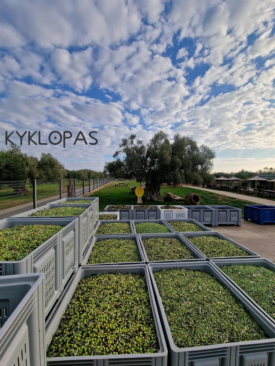 KYKLOPAS ready for action. Green power in formation.