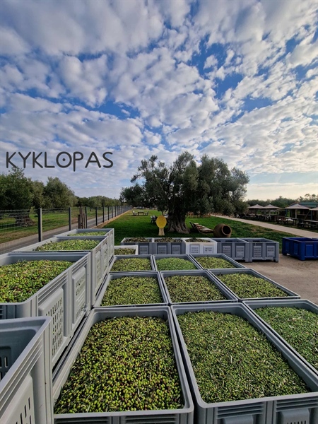 KYKLOPAS ready for action. Green power in formation.