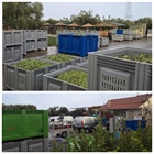 Rainy afternoon at Kyklopas Olive Mill today 🌧️