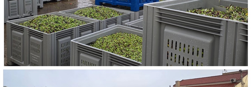 Rainy afternoon at Kyklopas Olive Mill today 🌧️
