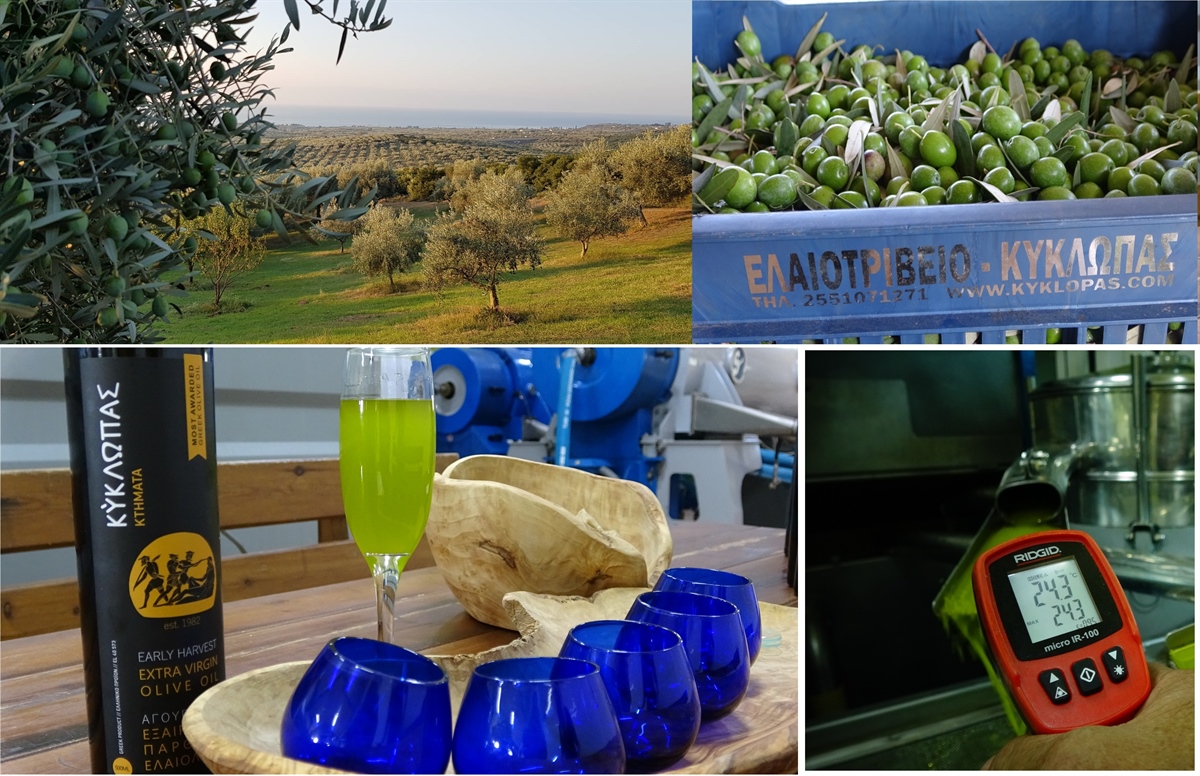 Παραγωγή αγουρέλαιου Κύκλωπας 12/10/18 (βίντεο +φωτογραφίες)