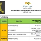 Χρυσός ο Κύκλωπας στην ισχυρή ένταση στον διεθνή διαγωνισμό ΚΟΤΙΝΟΣ!