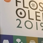 Κατάλογος flos olei 2019!