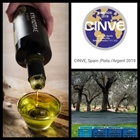 Cinve Olive Oil Contest-Spain - Award for Kyklopas!