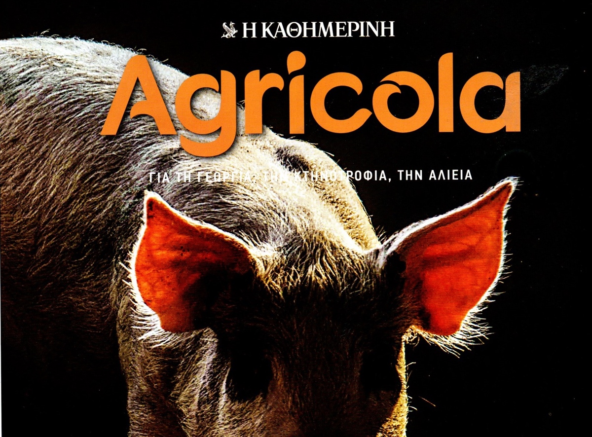 Sunday 19/5/19, you can read all about us in Agricola, the Kathimerini sunday paper's magazine!
