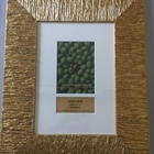 Just arrived from Milan,Italy!