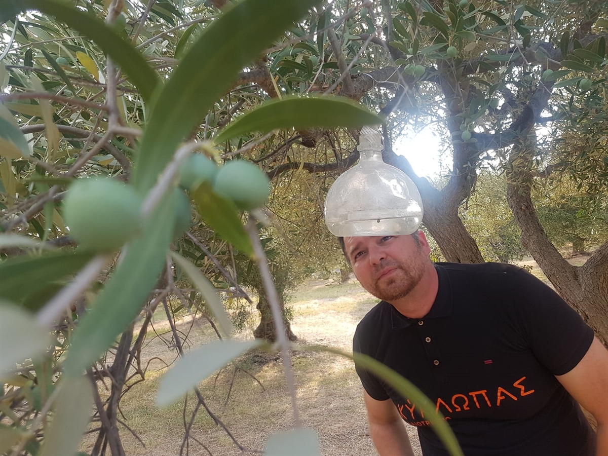 Kyklopas Estates!  Daily inspection of the Dacus fruit fly traps!