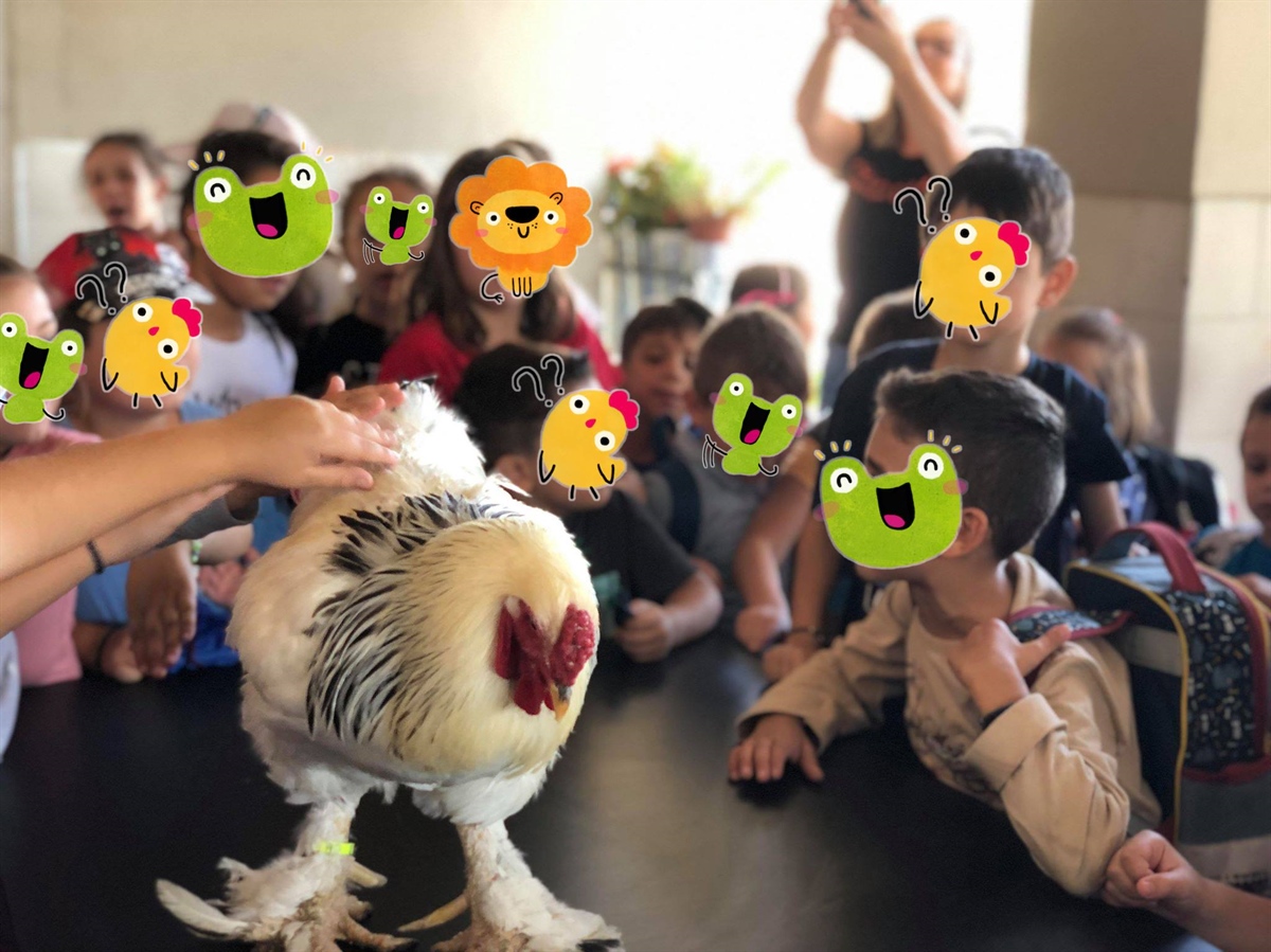 Paideia paizei (Education at play) Childcare Centre at Kyklopas Olive Mill