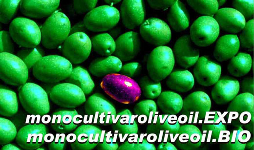 Monocultivar competition in Italy- Kyklopas Gold 2020