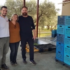 Another great day for pressing oil under the watchful eye of the Kyklopas family!
