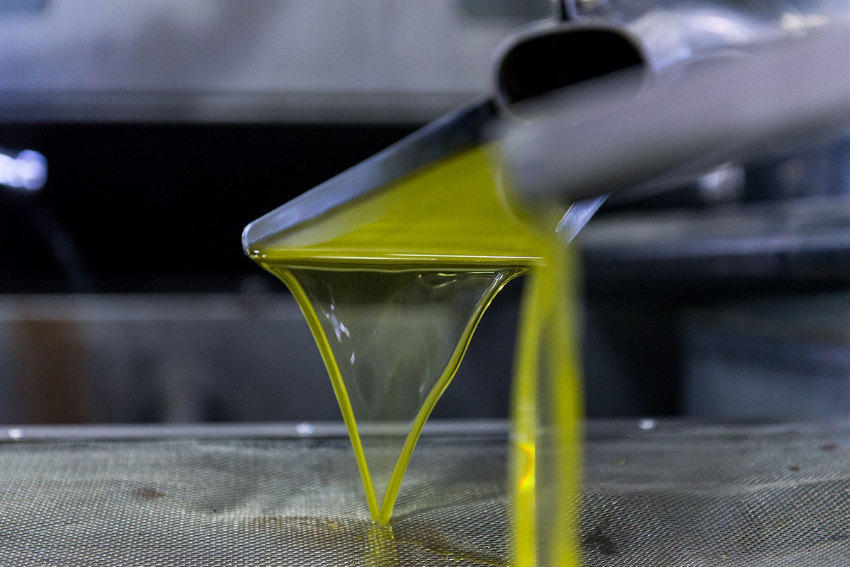 Can Extra Virgin Olive Oil Help Us Fight COVID-19?