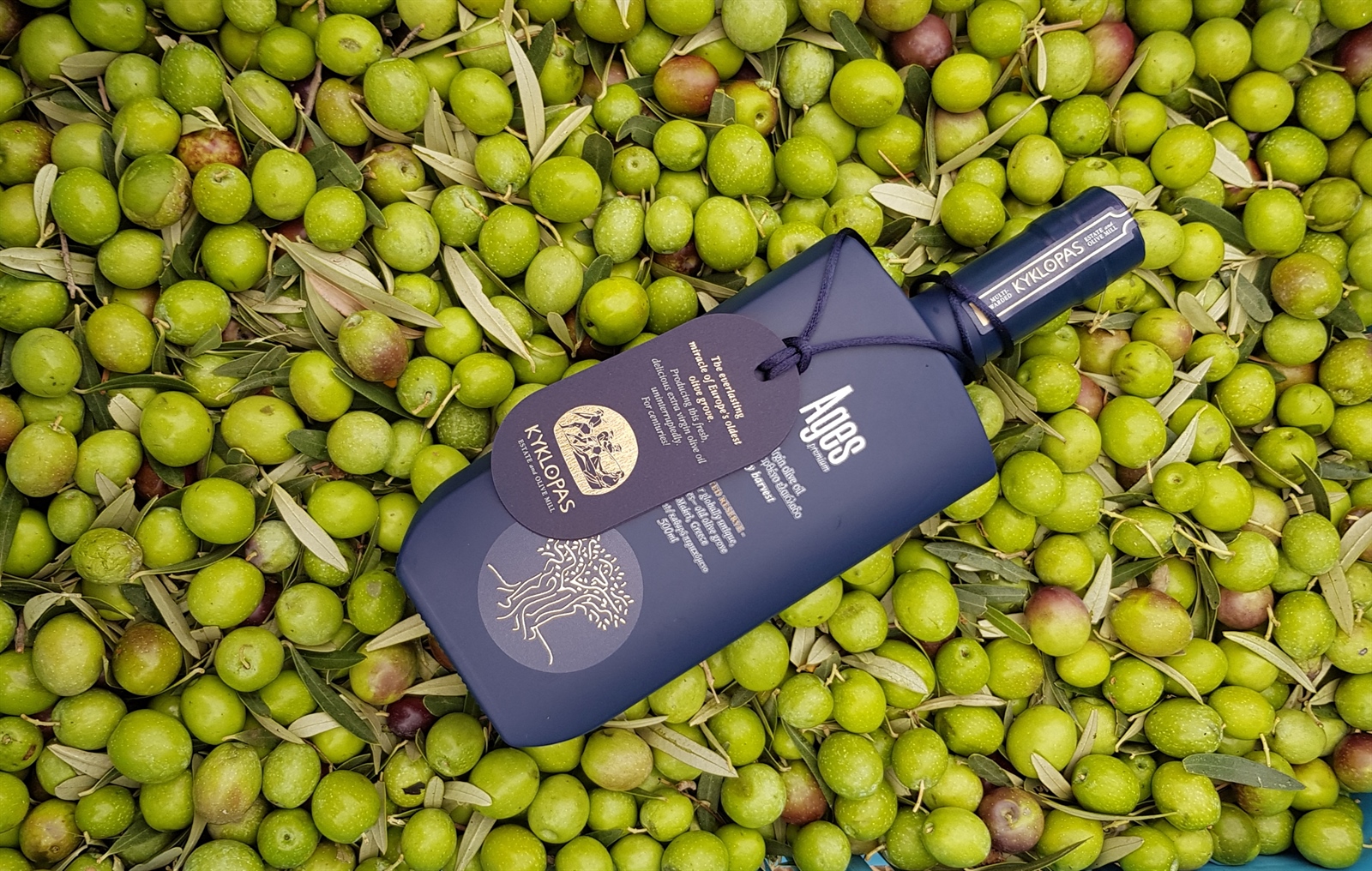 Elaiolado Makris PDO! - Kyklopas | Greek Premium extra virgin olive oil ...
