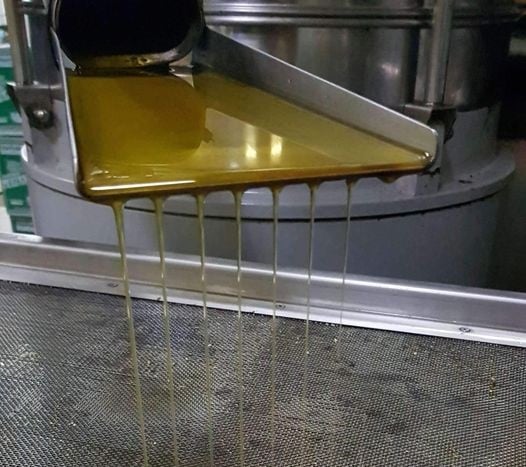 And so comes the time for the last drops of olive oil of the season at Kyklopas mill.