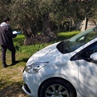 We are inspected and certified by DIO, the Inspection and Certification Organization of Organic Products in Greece.