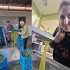 Ηave a good olive oil season!
