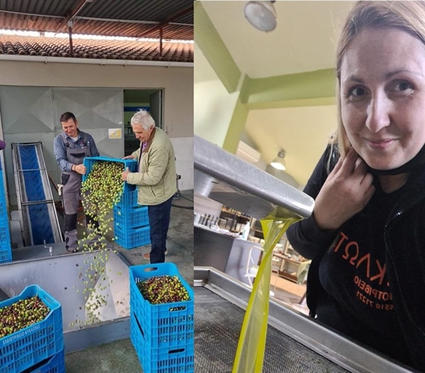 Ηave a good olive oil season!
