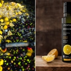 This year's lemonoil is simply divine!!!