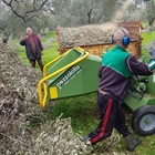 Choosing to shred pruned branches