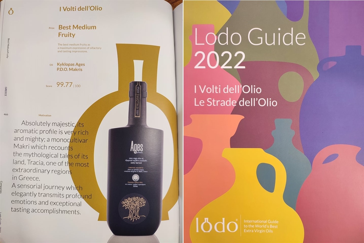 Lodo Guide 2022!
